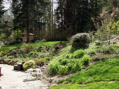 The Back Yard