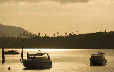 boats