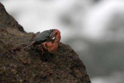 IMG_3416_a.jpg