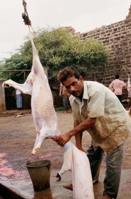 Bhuj17410012_Butcher.jpg