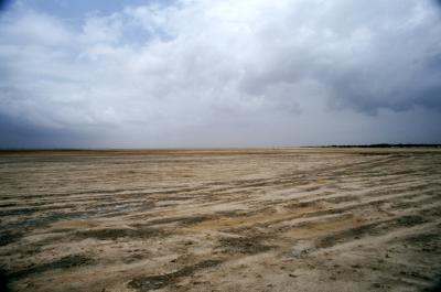 East17280010_GreatRann.jpg