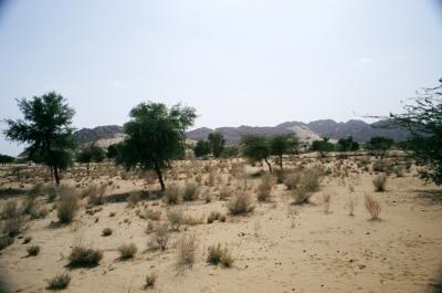 BAR17390011_Desert.jpg