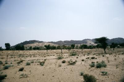 BAR17390012_Desert.jpg
