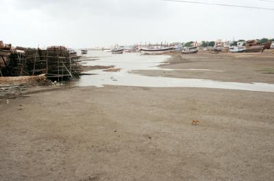 w05_Mandvi17300033_River+Boats.