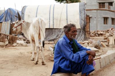 Bhuj17220018_Cow+Man.jpg