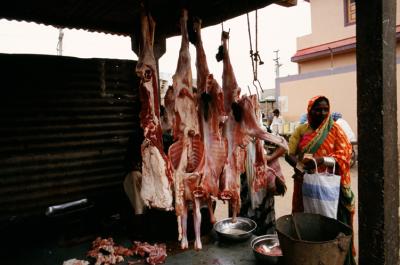 Bhuj17280034_Butcher.jpg