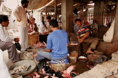 Bhuj17280037_Butcher.jpg