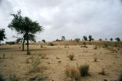 Gurha17330030_Desert.jpg