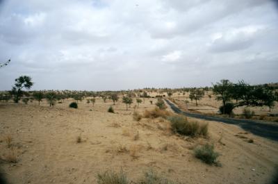 Gurha17330031_DesertRoad.jp