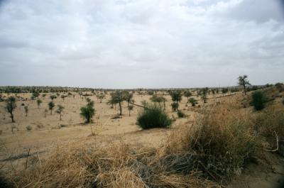 Gurha17330033_Desert.jpg