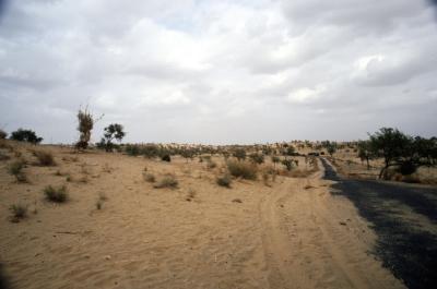 Gurha17330036_DesertRoad.jp