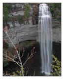 fall creek  falls