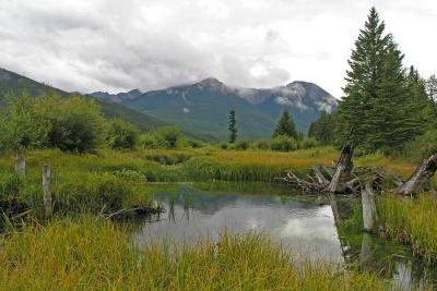 Vermillion Lakes Bird Sanctuary