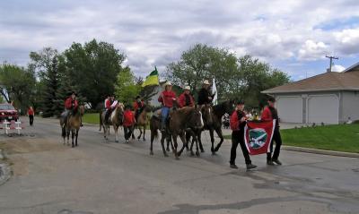 not a parade without horses ...