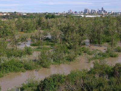 Calgary Flood 2005 #2
