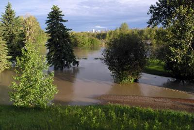 Calgary Flood 2005 #10