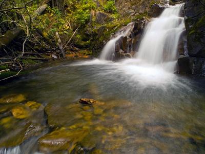 Elpoca Creek