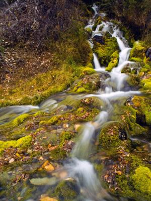 Autumn Mountain Stream