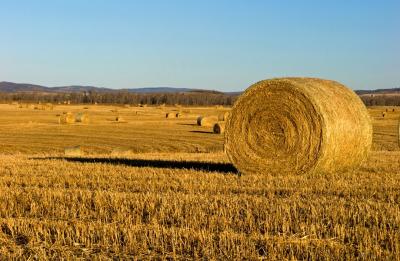 Really big hay bale ....