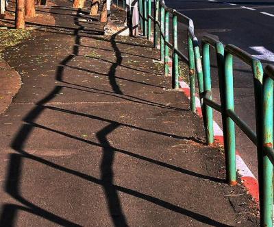 green rail  shade.JPG
