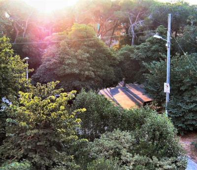 park at sunrise.JPG