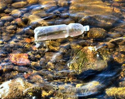 Not Belongs To River Bank .JPG