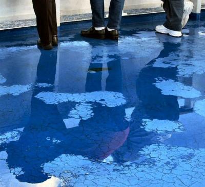 Reflection On The Deck.JPG