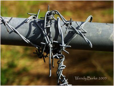 Barb wire , Keep us in or out ?