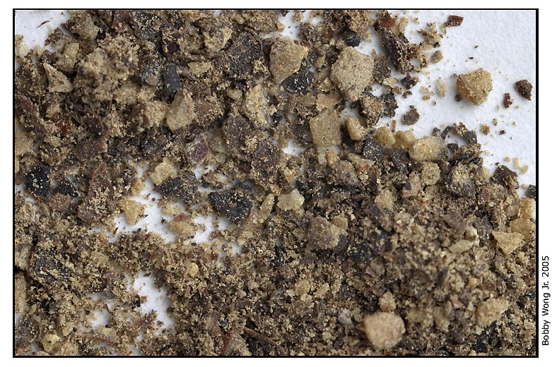 Black Pepper, ground