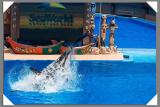 IMG_8244.jpg
