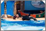 IMG_8253.jpg