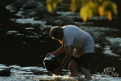 Conservationist of the Arb