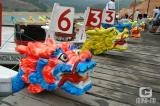 Colorful Dragon Heads