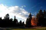 Colors of Fall