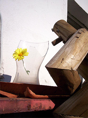 joke model 21-09-2005