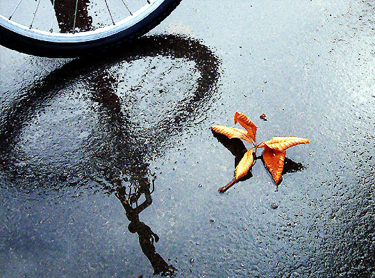 another rainy day 24-09-2005