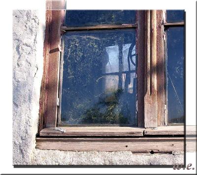 the window 02