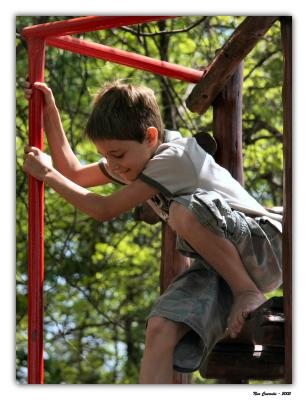 Jungle Gym Fun