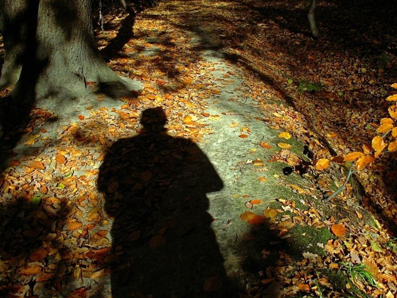 shadow