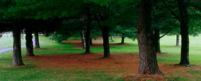 the Meadows golf course