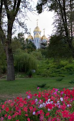 IMG_2244.jpg