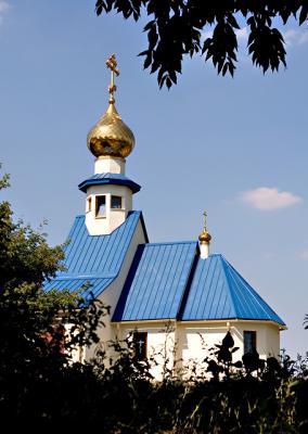 IMG_2319.jpg
