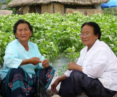 k-hahoe-2ladies-in-field.jpg