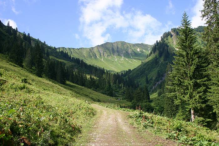 Kleinwalsertal 20.7.2005 - Derrajochwanderung