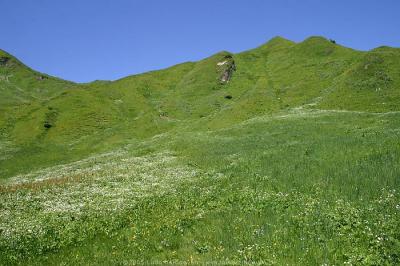 Kleinwalsertal 20.7.2005 - Derrajochwanderung