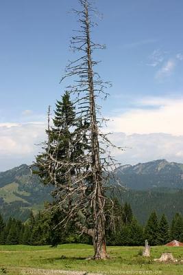 Kleinwalsertal 2005 / Verschiedenes