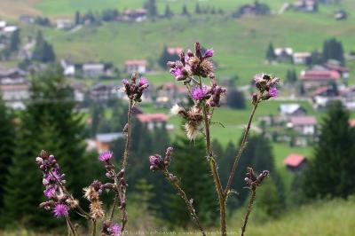 Kleinwalsertal 2005 / Verschiedenes