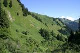 Kleinwalsertal 20.7.2005 - Derrajochwanderung