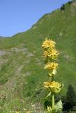 Kleinwalsertal 20.7.2005 - Derrajochwanderung