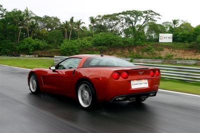 IMG_0250 Large.jpg